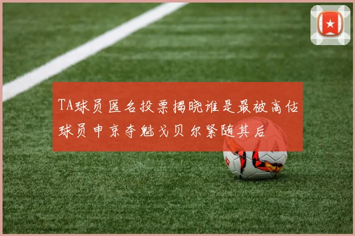 TA球员匿名投票揭晓谁是最被高估球员申京夺魁戈贝尔紧随其后